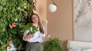 Фитодизайн. Растения для фитостены