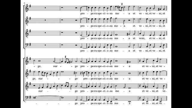 Hieronymus Praetorius: Surge propera amica mea - Heras-Casado смотреть онлайн