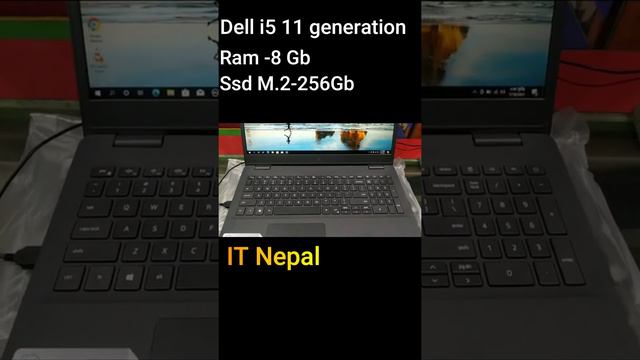 Dell inspiron 15 । i5 11Gen intel iris Xe Graphics Think & Liting Laptop смотреть онлайн