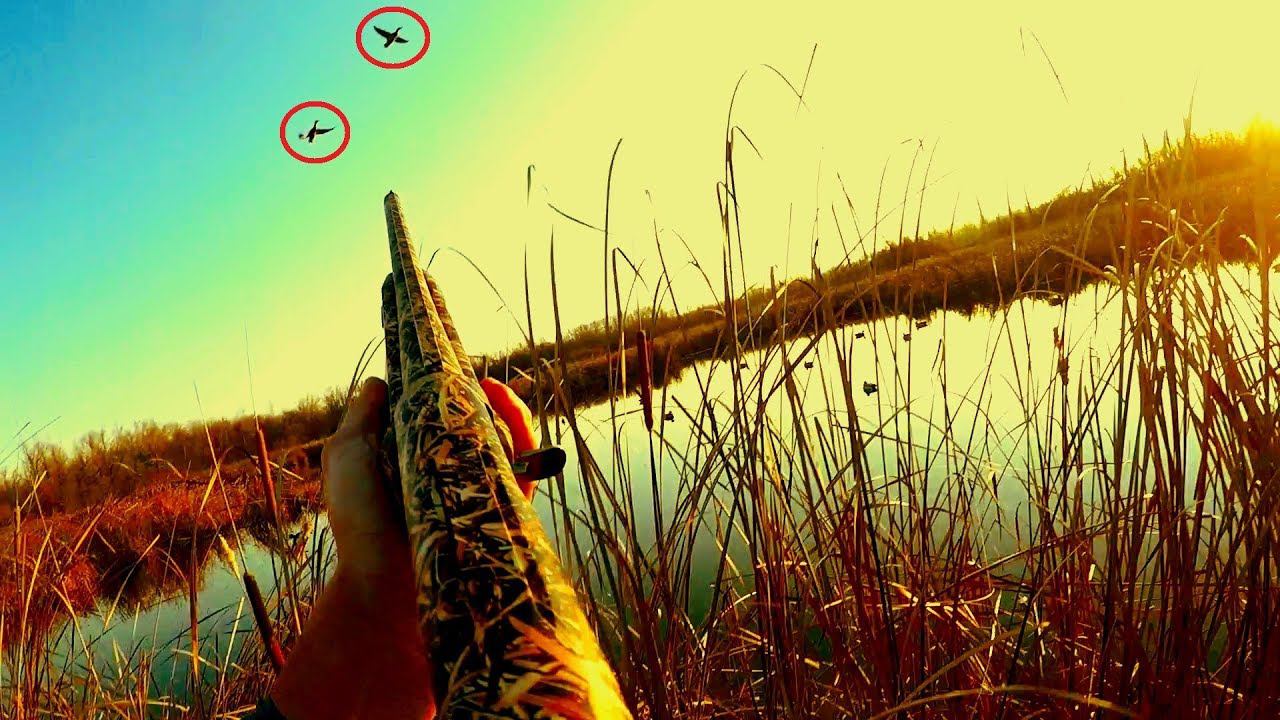 ЛУЧШИЕ МОМЕНТЫ С ОХОТЫ НА УТКУ 2019!!! РОЗЫГРЫШ МАНКОВ!!! ПОПАЛ В КОРИДОР. ОХОТА НА ПЕРЕЛЕТЕ смотреть онлайн