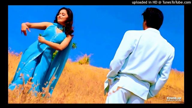 Hum Tumhare Hain Tumhare Sanam 💓Love Song💓 Shahrukh Khan, Madhuri Dixit | Udit Narayan, Anuradha P