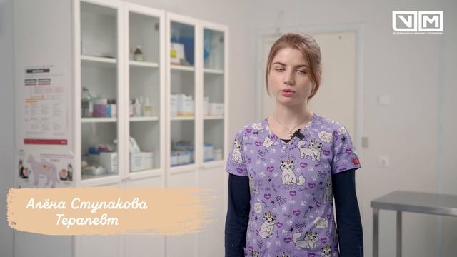 Прививки животным