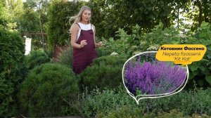 Теневой Цветник | Что посадить в тени? | Ландшафтный дизайн | @leskovo.pitomnik