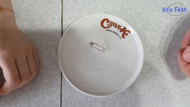 Самодельный компас.  Эксперимент по окружающему миру. Делаем компас дома.