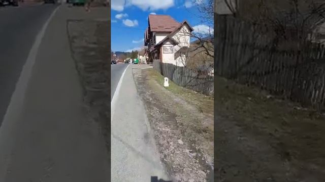 23.03.2024 🆘️SOS BUȘTENI-Salvați Orașului Bușteni🆘️ смотреть онлайн