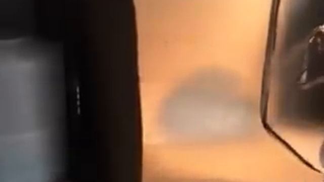 larius Minipegaso mapei mapelastic смотреть онлайн