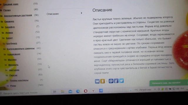 Где можно купить Рассаду Клубники и красивых Роз в 2022 году Почтой России. смотреть онлайн