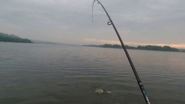 Щука в июне. Где? Как? На что?