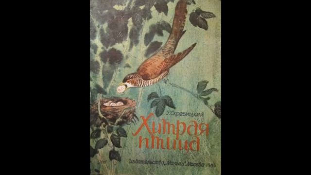 ХИТРАЯ ПТИЦА-Рассказ- Г.А.Скребицкий