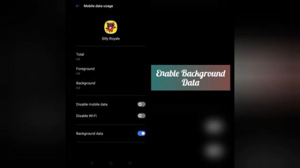 How To Solve Silly Royale App Network Connection(No Internet) Problem || Rsha26 Solutions