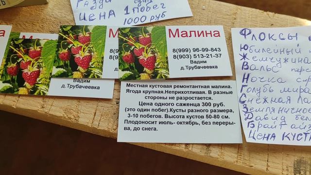 Питомник Рассада Одинцово на моей даче смотреть онлайн