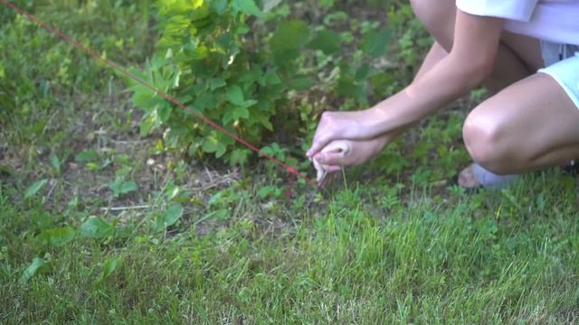 Midsummer Celebration In Homestead | Līgo 2021