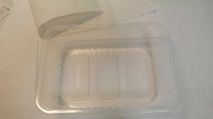 Выращиваем Крымскую сосну 1-часть