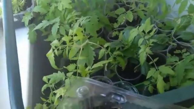 Как раскислить почву. смотреть онлайн