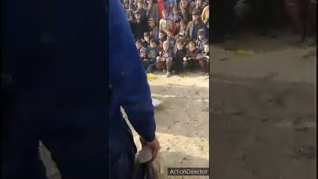 ЧАШМБАНДИ:Дар болои шишаи шикастаги ба пой😱😱😱😱😱😱😱 смотреть онлайн