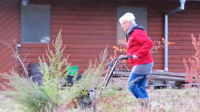 Balkenmäher an Beifuss смотреть онлайн