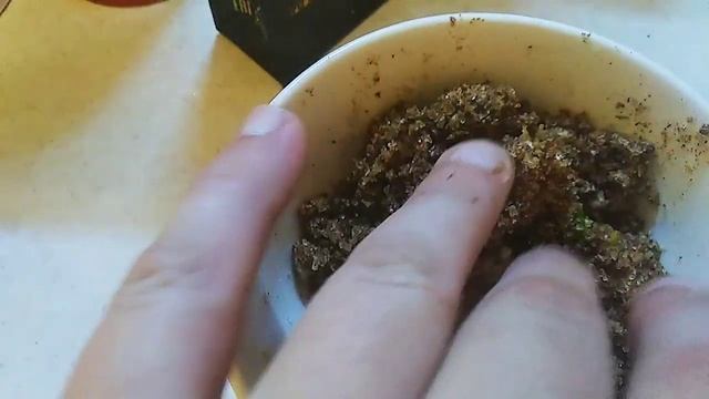 как можно солить сало с мягкой шкурой смотреть онлайн