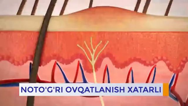 Natogri ovqatlanish #dxn #semizlik #natogriovqatlanish смотреть онлайн