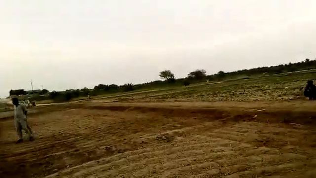 | Horse | bahadur | Saleem Abbas Lashari | Sindh | best | rewal chal | urdu hindi | Khairpur смотреть онлайн