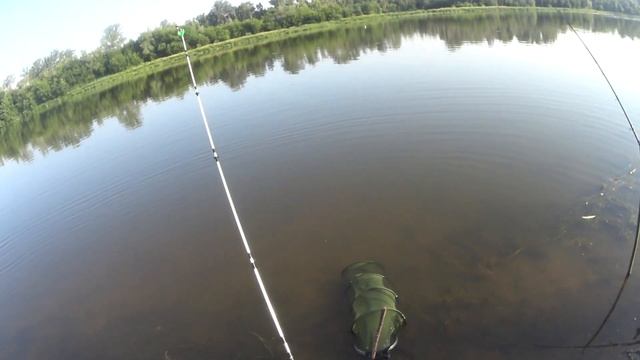 Рыбалка/КАК ЛОВИЛ ЛЕЩА В ИЮНЕ/фидер 2021/ КРУПНЫЙ ЛЕЩ /рыбалка на леща на донку/ смотреть онлайн