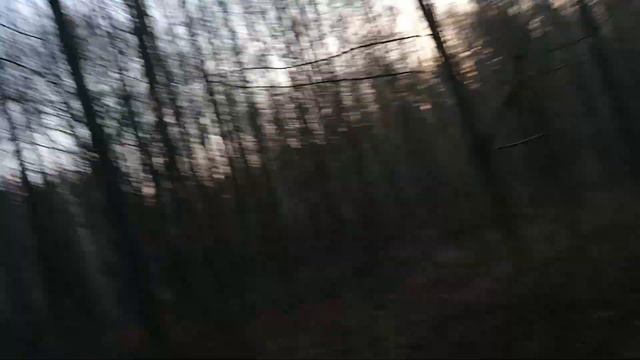 Дорога на рыбалку смотреть онлайн