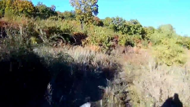 Серый. Аэросъемка. Благовещенск. Моховая Падь. АРОО "КонТур" смотреть онлайн