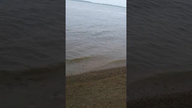 Рыбацкое утро борьба с сазаном река уссури смотреть онлайн