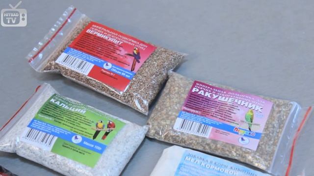 Чем кормить попугая - ежедневный рацион и лакомства для домашних птиц смотреть онлайн