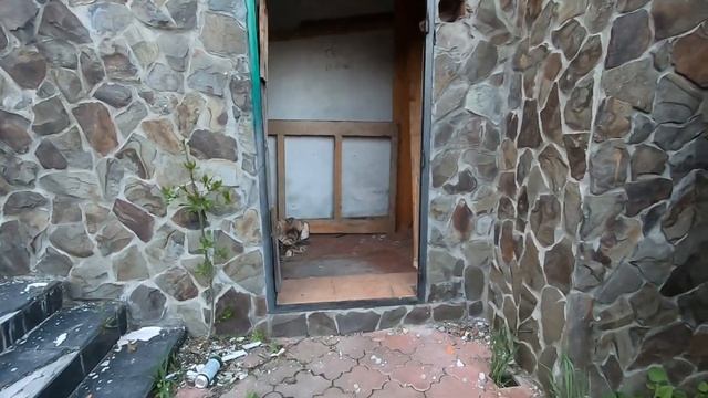 Нашел огромный заброшенный особняк миллионера. Высокий каменный забор, пытаются проникнуть внутрь. смотреть онлайн