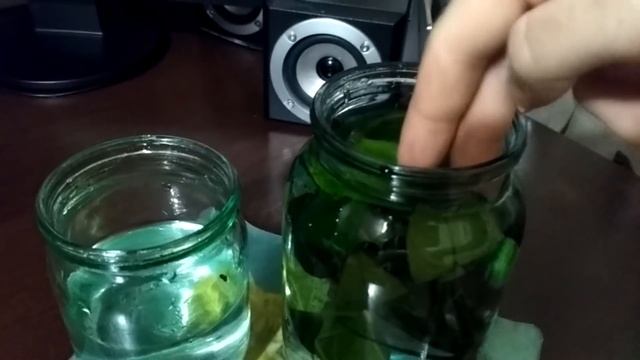 Обеззараживание растений