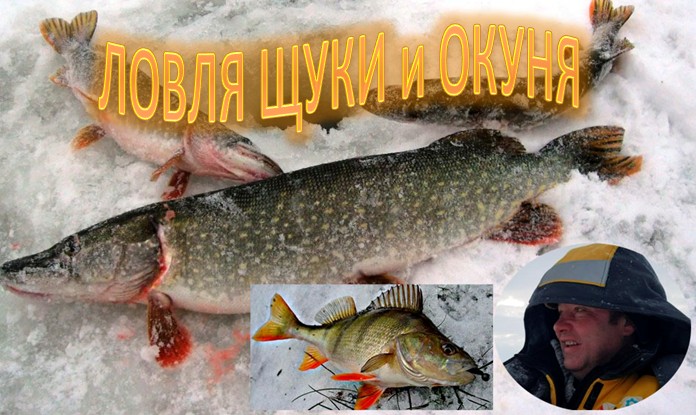 ЛОВЛЯ ЩУКИ и ОКУНЯ. ( Красный-Бор ) смотреть онлайн