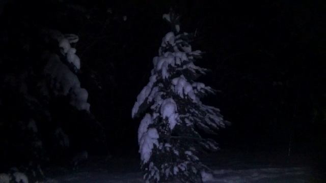 Ночь. смотреть онлайн