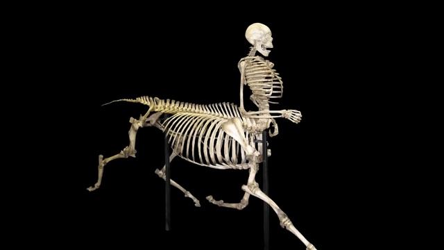 ¿Por qué es mala idea ofender a los dioses? | Mitología griega смотреть онлайн