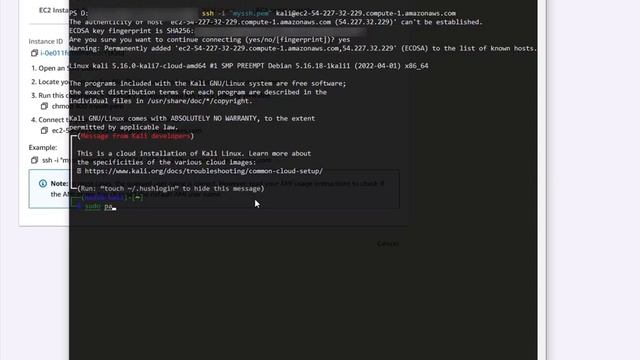 Kali 2022.2 on AWS EC2 смотреть онлайн