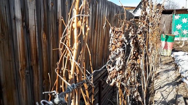 Ой, а что же с малиной делать? смотреть онлайн