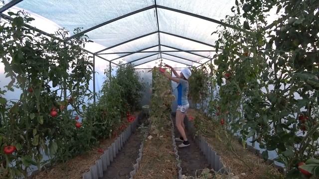 Весь день с мамой в больнице смотреть онлайн