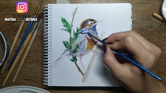 Птица акварелью видеорисунок смотреть онлайн