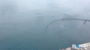 Рыбалка в Севастополе.Зима.