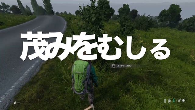 【DayZ攻略】LIVONIAと1.07について【PS4】女性実況