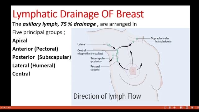 KLM Clinicals Part-3| Thorax Anatomy| Human Anatomy смотреть онлайн