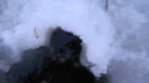 Рыбалка,ловля зимой линя на верши