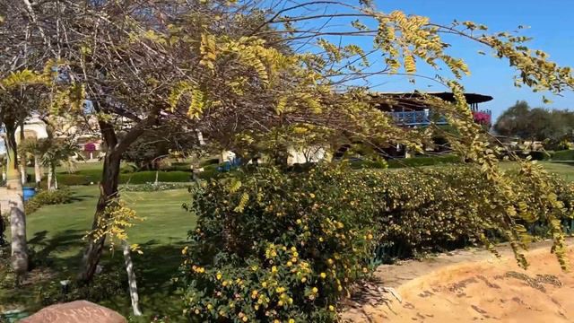 4K Palm Royale Resort Soma Bay 5* , Отзыв, пляж, туры в Хургаду, Египет. смотреть онлайн