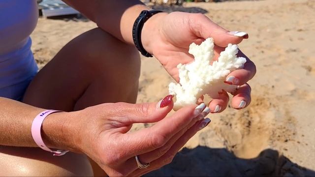 Египет 2023 Отдых зимой в Хургаде Как тут сейчас? смотреть онлайн