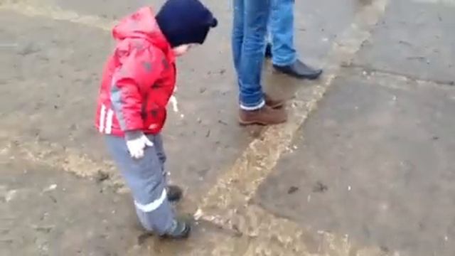 Кормим уток