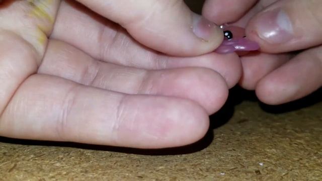Lps garden pets unboxing смотреть онлайн