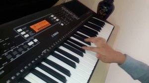 Играет на синтезаторе песню про медведей