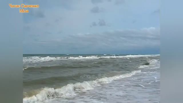 Плаче Козак - Шляхи Биті... ДУМКА-ТАРАС ШЕВЧЕНКО смотреть онлайн