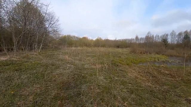 РЫБАЛКА НА КОСЫНКИ. С ЗИМЫ ИХ НЕ ЛОВИЛ. смотреть онлайн