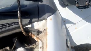 Если не заводится ГАЗ 560 штайер проверяем