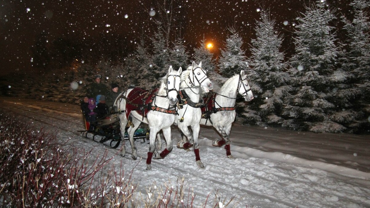 ТРИ БЕЛЫХ КОНЯ смотреть онлайн